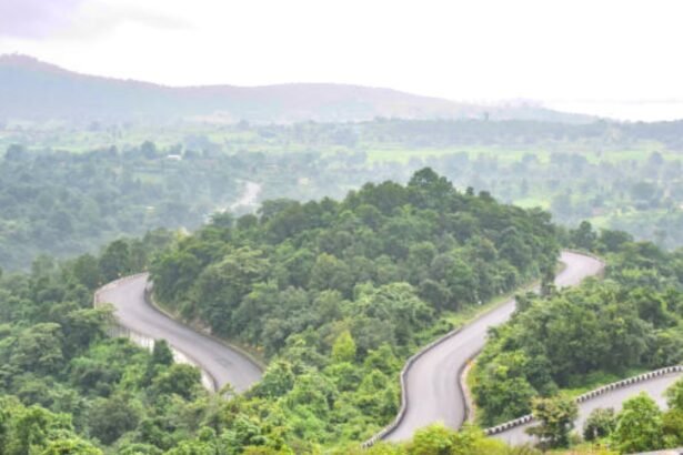 jharkhand patratu valley
