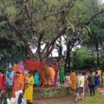 Amla Puja was performed on Akshaya Navami in Barhi