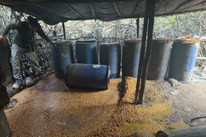 Raids conducted on illegal mahua liquor manufacturing sites 2400 kg Java mahua destroyed and 160 litres of mahua liquor seized