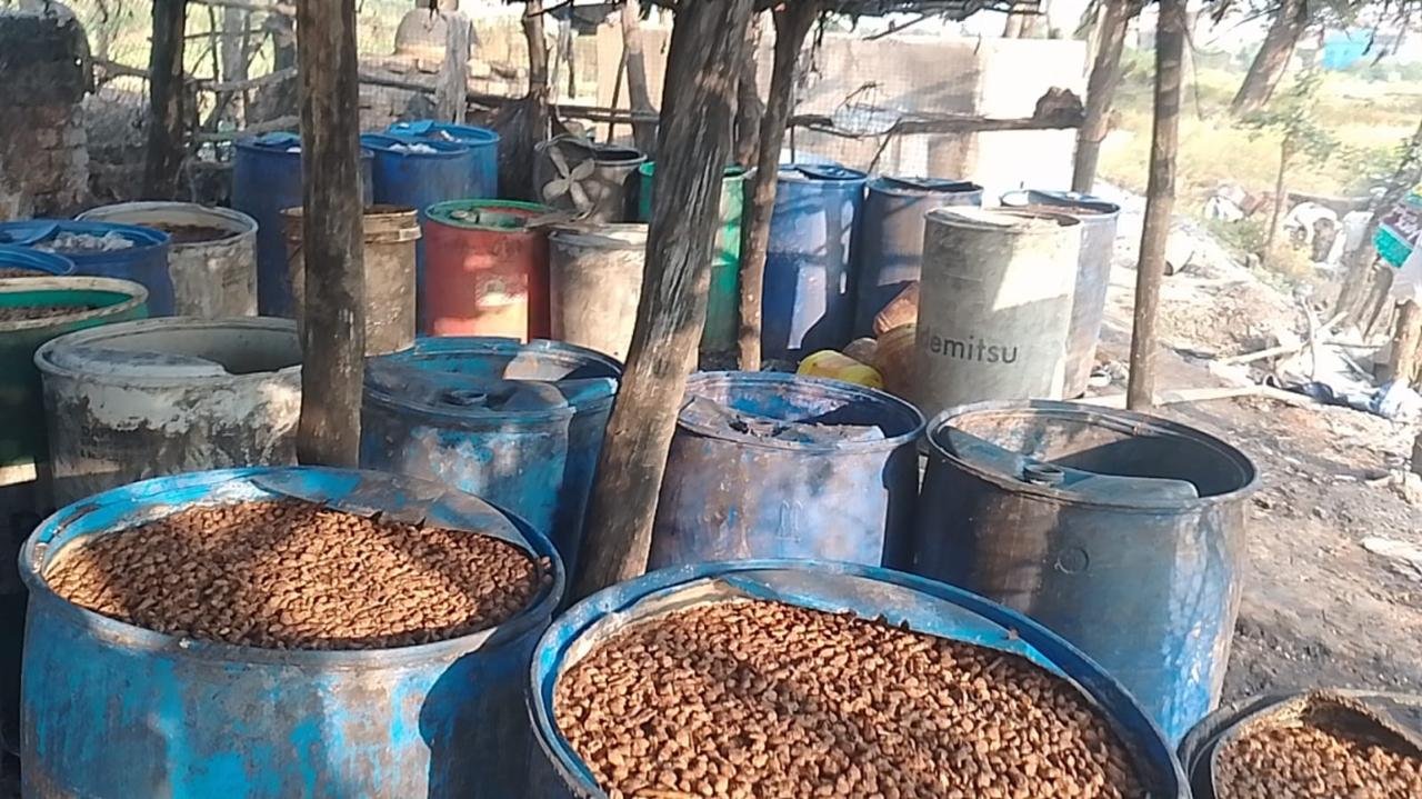WhatsApp Image 2025 11 10 at 17.34.142