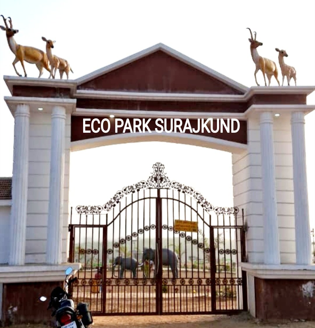 Dhirendra Pandey demanded from the Chief Minister to open the Eco Park located at Suryakund for the public