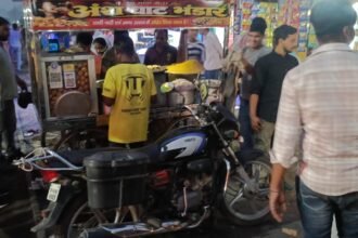 बाइक की सीट के अंदर निकला सांप